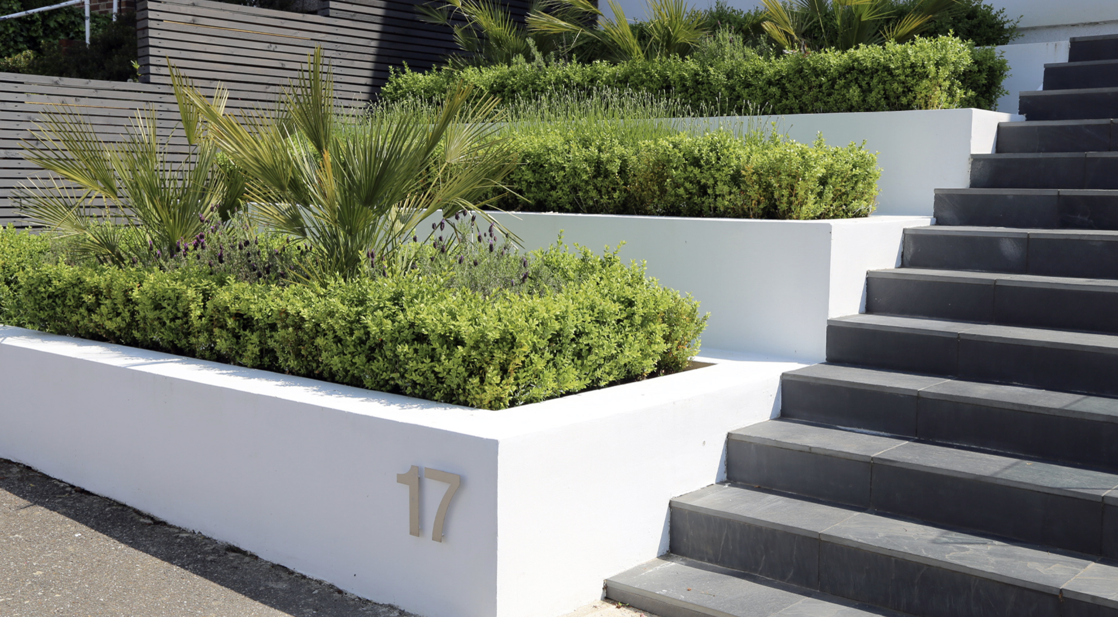 Modern retaining wall with planting and steps